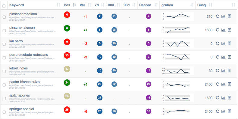 Daily position keyword tracking tool